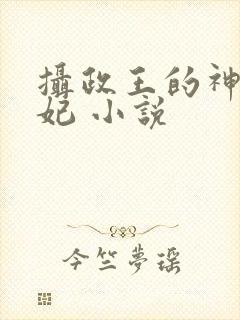 摄政王的神医毒妃 小说