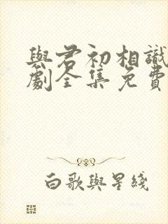 与君初相识电视剧全集免费西瓜