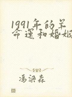 1991年的羊命运和婚姻怎样