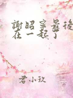 谢昭宁最后和谁在一起了