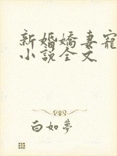 新婚娇妻宠上瘾小说全文
