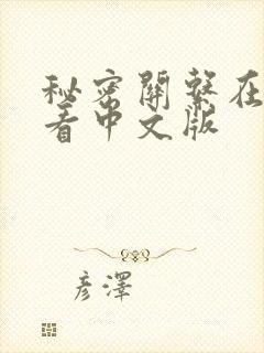 秘密关系在线观看中文版