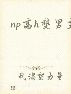 np高h双男主