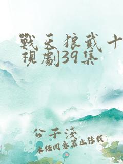 战天狼武十三电视剧39集