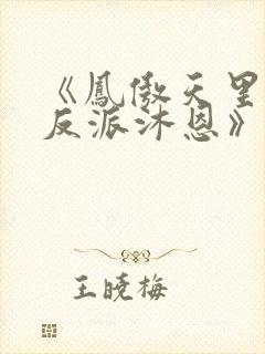 《凤傲天里黄毛反派沐恩》小说