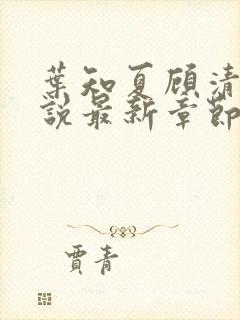 叶知夏顾清淮小说最新章节免费阅读