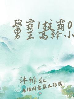 学霸1校霸0双男主高干小说