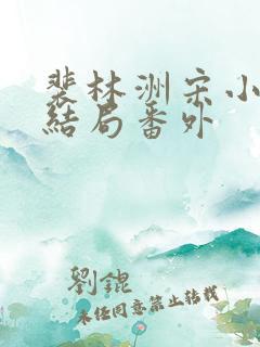 裴林洲宋小微大结局番外