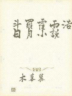 斗罗霍雨浩加入日月小说