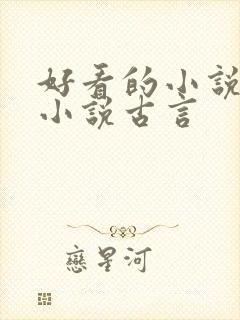 好看的小说言情小说古言