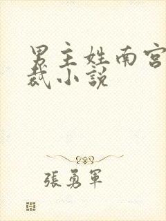 男主姓南宫的总裁小说