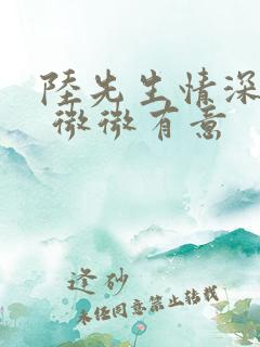 陆先生情深未晚 微微有意