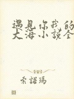 遇见你我的星辰大海小说全文免费阅读