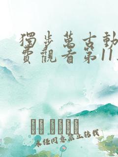 独步万古动漫免费观看第11集