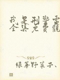 我是刑警电视剧全集免费观