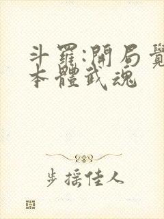 斗罗:开局觉醒本体武魂