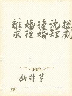 离婚后沈总天天求复婚短剧免费观看