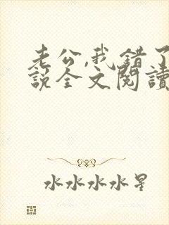 老公,我错了小说全文阅读