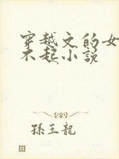 穿越文的女主伤不起小说