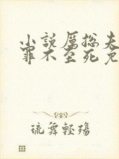 小说厉总夫人她罪不至死免费看