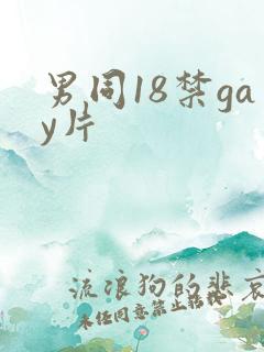 男同18禁gay片