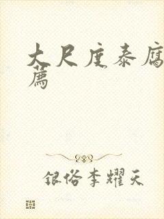 大尺度泰腐剧推荐