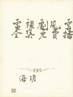 电视剧风云年代全集免费播放