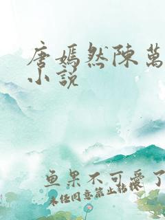 唐嫣然陈万里的小说