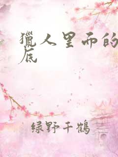 猎人里面的大卧底