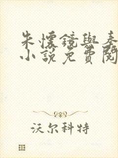 朱怀镜与秦可卿小说免费阅读