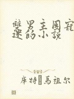 双男主团宠万人迷的小说