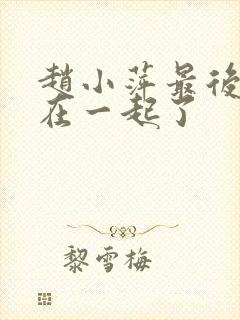 赵小萍最后和谁在一起了