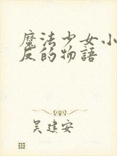 魔法少女小圆逆反的物语