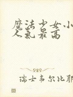 魔法少女小圆谁人气最高