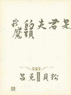 我的夫君是灭世魔头