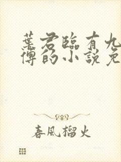 叶君临有九个师傅的小说免费阅读