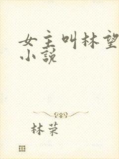 女主叫林望舒的小说