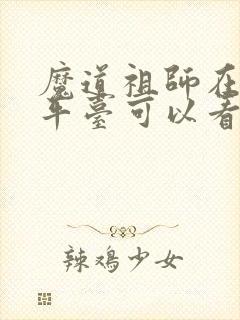 魔道祖师在哪个平台可以看