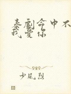 泰剧命中不注定我爱你