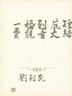 一婚到底短剧免费观看大结局