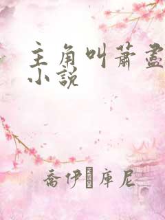 主角叫萧尽欢的小说