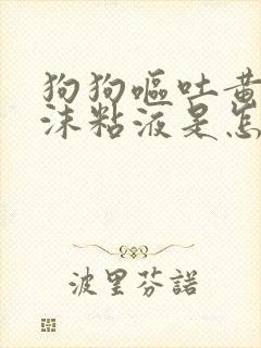 狗狗呕吐黄水泡沫粘液是怎么办