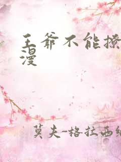 王爷不能撩 动漫