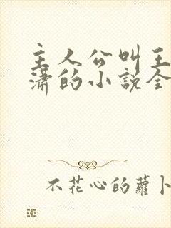 主人公叫王东唐潇的小说全文免费阅读笔趣阁