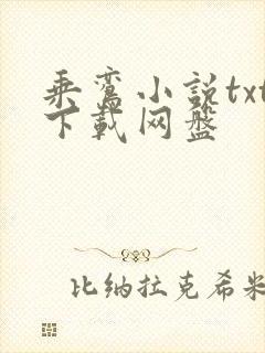 乘鸾小说txt下载网盘