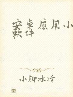 安卓应用小窗口软件