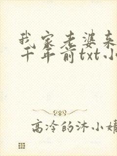 我家老婆来自一千年前txt小说