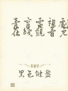 青盲电视剧全集在线观看免费播放