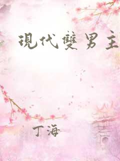 现代双男主小说