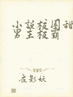 小说校园甜宠文男主校霸